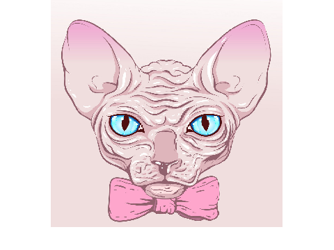 They shaved off my fur