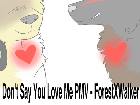 Don't Say You Love Me PMV