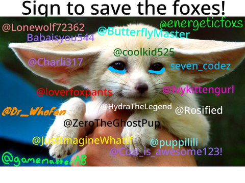 STOP HUNTING FOXES remix remix remix remix remix 7's remix... remix remix remix remix remix r… remix
