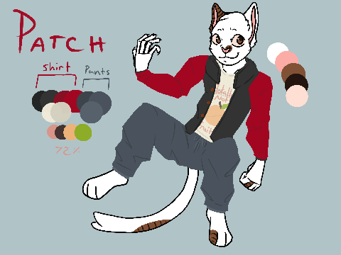 Patch Ref