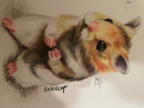 some traditional art bc yay