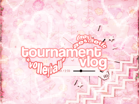 Ꮺ ━ ❝ tourney vlog  ˖˚˳⊹