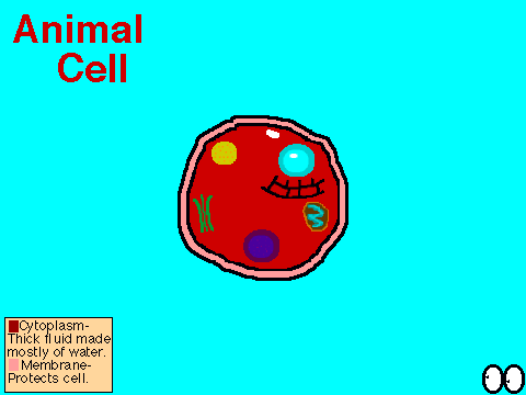602 science-Cell-a-brate!