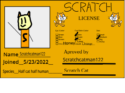 My Scratch Licence