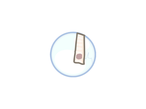 Ice Ball's New Asset/Pose