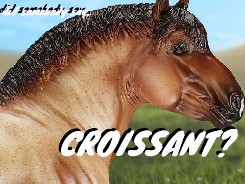 meme
