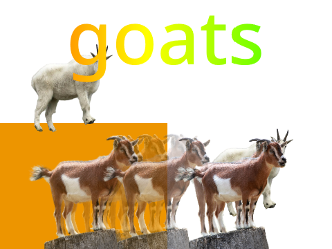 goats