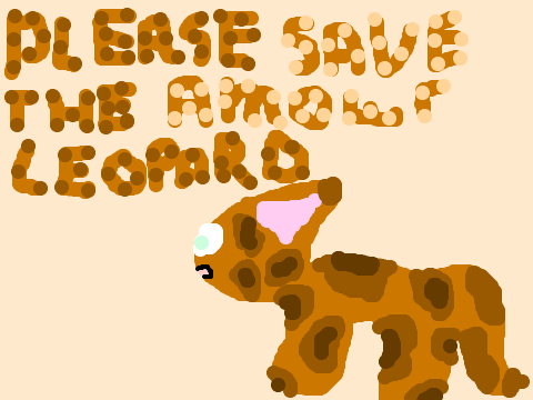 Please Save the Amour Leopard