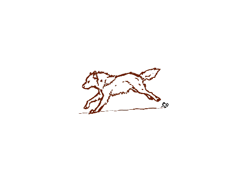 wolf pfps remix