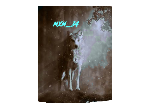 sign pls if u love wolfs!