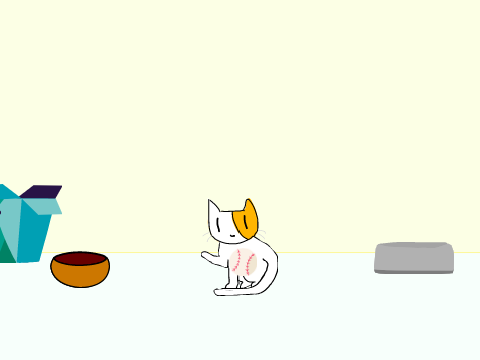 Cat Sitter