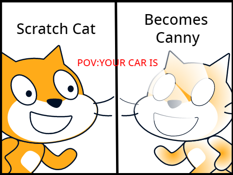Scratch Cat Becomes Canny; POV: You car is