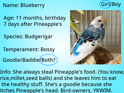 Sign up sheet for my new series!!!!  remix Blueberry