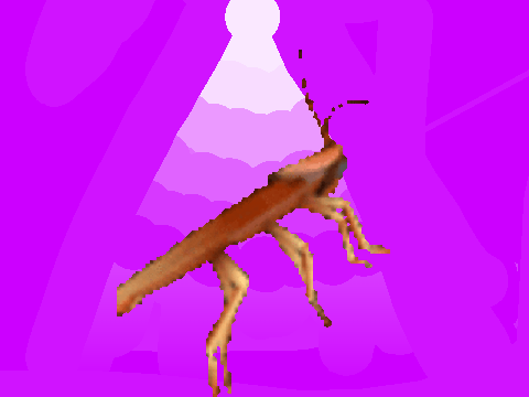 Dancing cockroach
