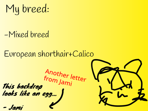 About me!! Cat Jami