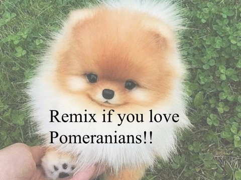 Remix if you love Pomeranians!!