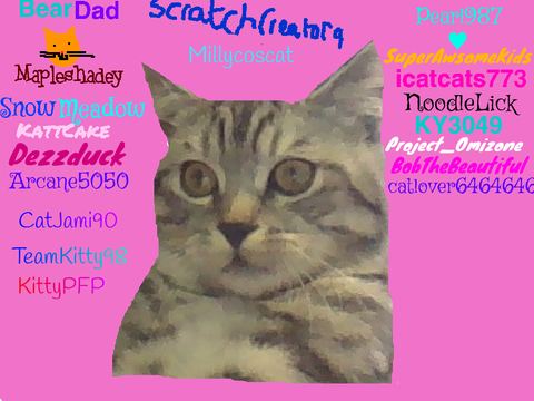 Sign if you love cats! remix