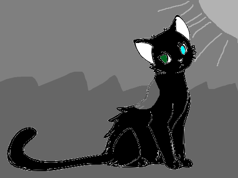 warrior cat shadows of the past bio. remix-3
