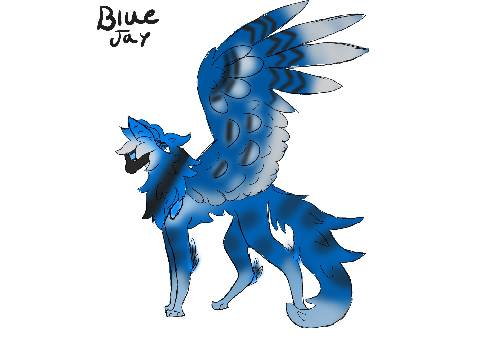 Blue Jay