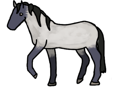 Random Custom Horse For @Skyradragonologist