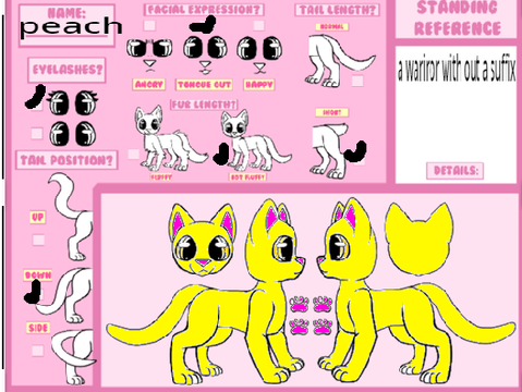 WARRIOR CATS OC CONTEST! remix