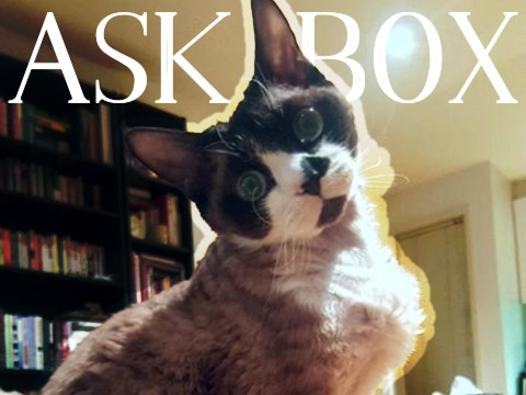 Ask box