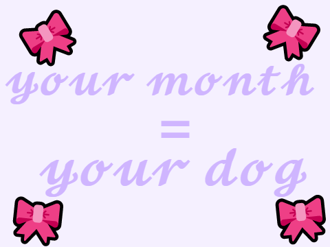 Your month Your dog!