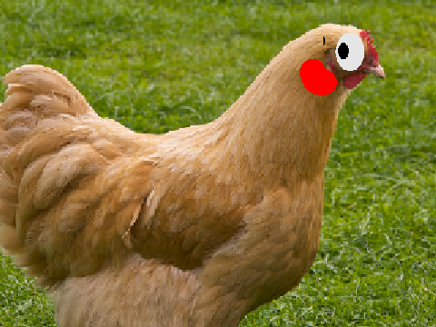 bonzi and the teriyaki chicken hunt