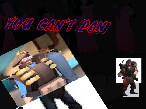 You Can't Pan