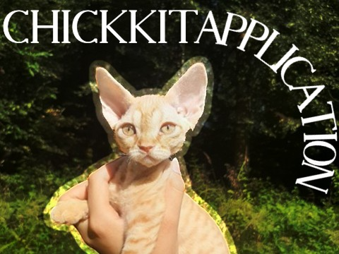 “ Be not afraid ” -- Chickkit application