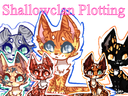 Shallowclan Plotting Ideas [Closed]