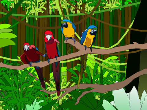 Parallax - Parrots in the Green Paradise