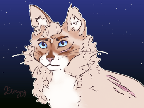  ☽  ~ Elegycrest ~ ☽ 