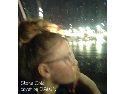 stone cold cover by DAWN
