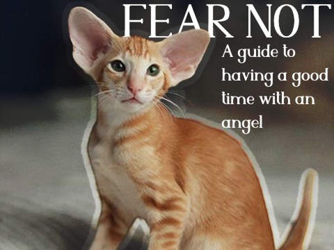 ' ' FEAR NOT ' ' | a guide to having a good time with an angel [part of my application]