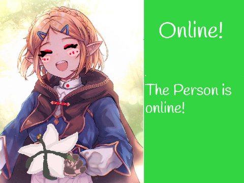 He / She is online?