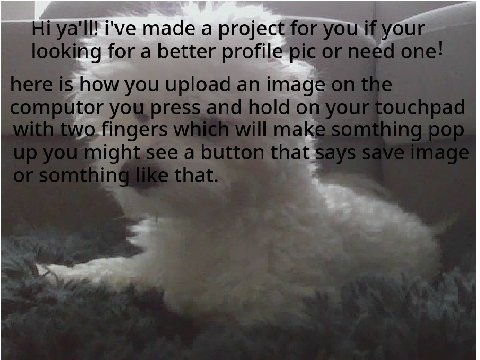 Profile pics you can use