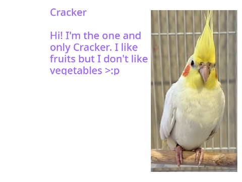 Cracker