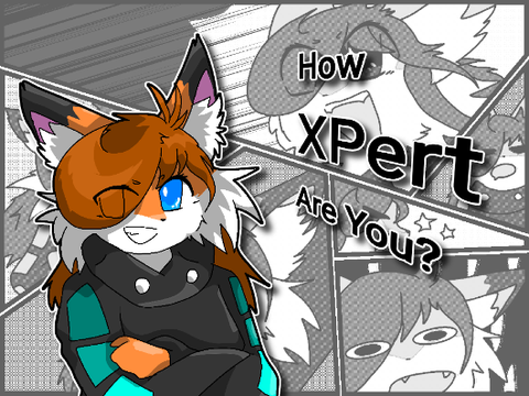 How XPert Are You? | Updated