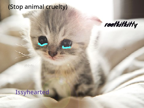 sign if you hate animal cruelty(ORIGINAL BY @rootkitkitty)) remix