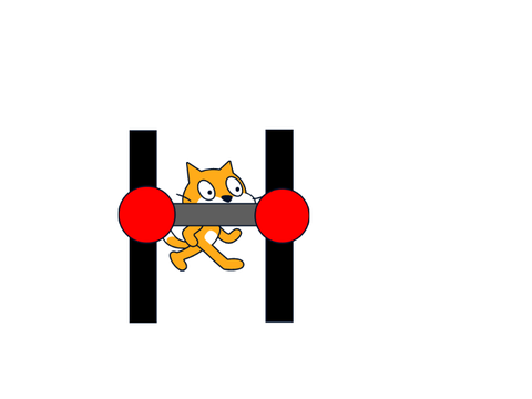 ねこの筋トレ