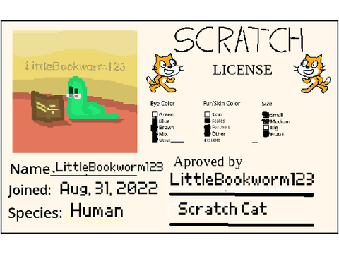 My Scratch Licence!