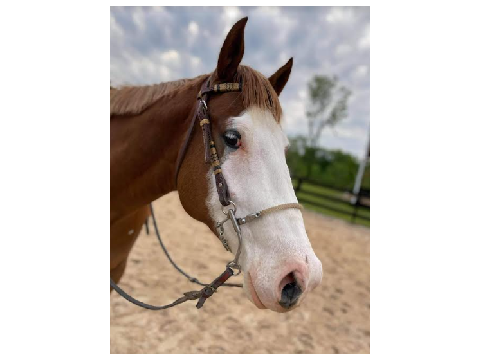 ˋ°•*⁀➷picture of simon