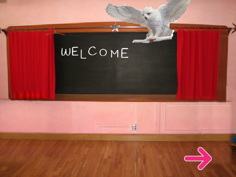 Day in The Life Of Hedwig