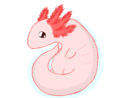 Axolotl Drawing I Made