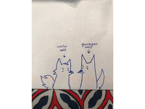 insulin wolf and glucagon wolf <3