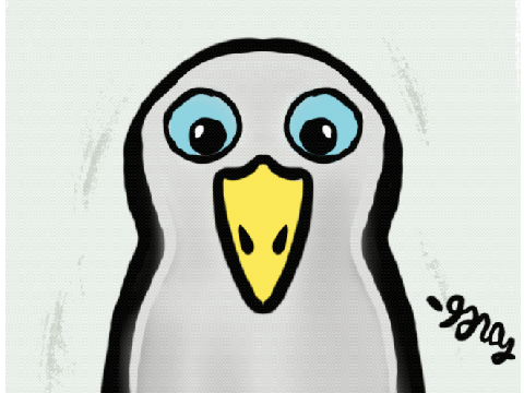 Peinguin Animation