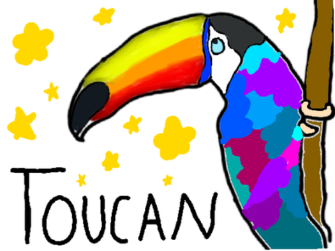 Toucan ART!