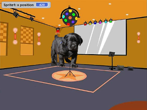 dancing doggie