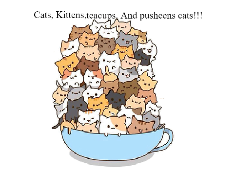 Remix cute cats Remix.... Remix